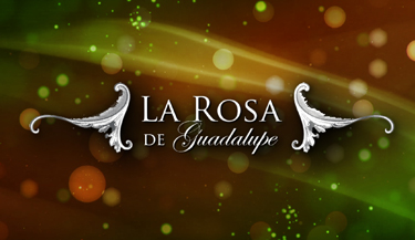 LA ROSA DE GUADALUPE